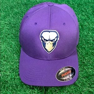 Brand New Raven Cap
